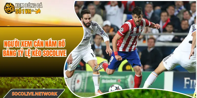 Người xem cần nắm rõ bảng tỷ lệ kèo Socolive